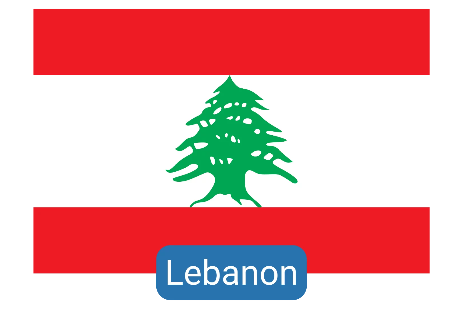 Lebanon Clinical Elective