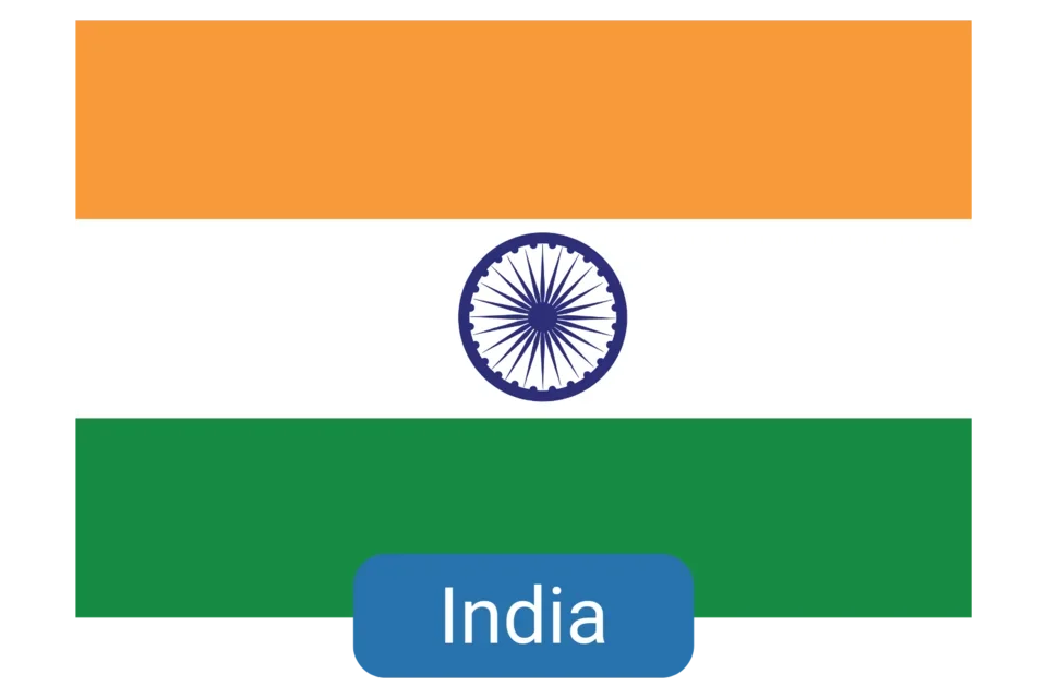 India Clinical Elective