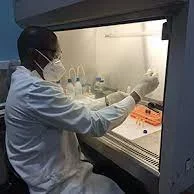 A black male researcher at the bench