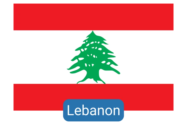 Lebanon Clinical Elective