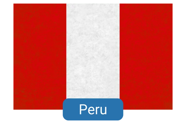 Peru Clinical Elective